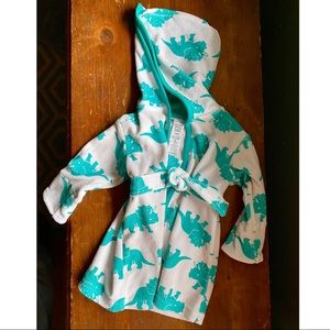 Dinosaur bath robe
